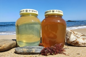 [무료배송] 단독[책임김지수] - 지리산 아카시아꿀 2.4kg/ 달달한 꿀이 왔어요~