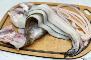 [당일생물] 통영창고 - 대왕 바다장어 1kg/ 2~3미 큼직하니 먹을맛 난다!