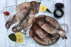 군산창고 - 꽁꽁 손질 물갈퀴오징어 5미/ 손질 다 된 대왕 오징어