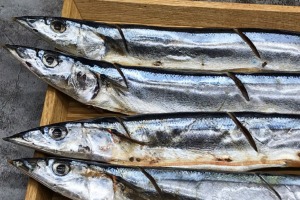 군산창고 - 칼집 꽁치 5미/ 고기 식감의 담백한 생선