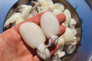 동해창고 - 베이비 갑오징어 400g/ 한입 크기에 손질까지 그저 먹기만 하면..