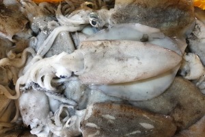 포항창고 - 급냉 총알 무늬오징어 1kg/ 녹진하고 꼬소한 내장과 먹물을 한입에!